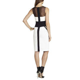 Fitted Sleeveless Dress BCBGMAXAZRIA