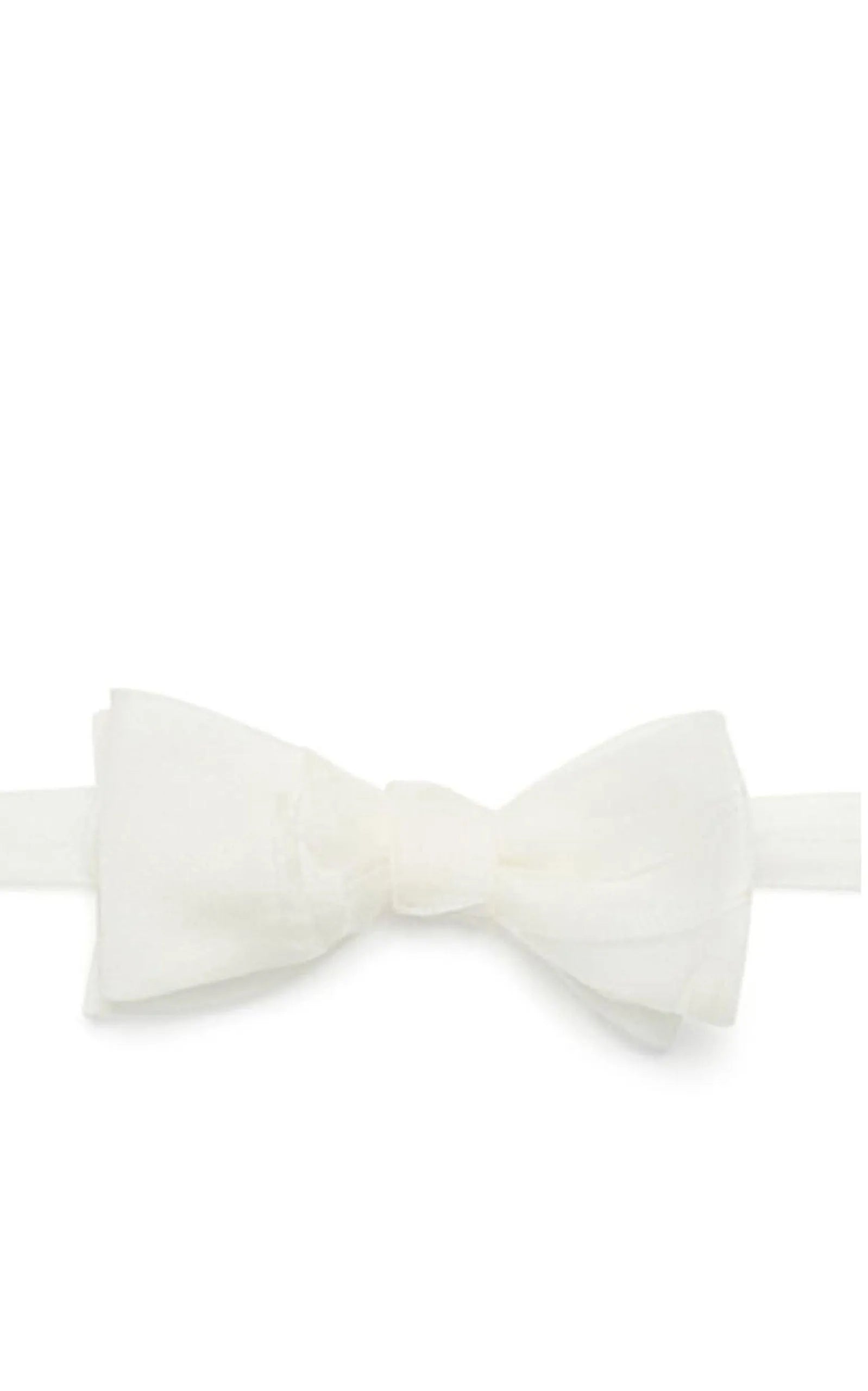 Title of Work by Jonathan Meizler Silk Chiffon Bow Tie